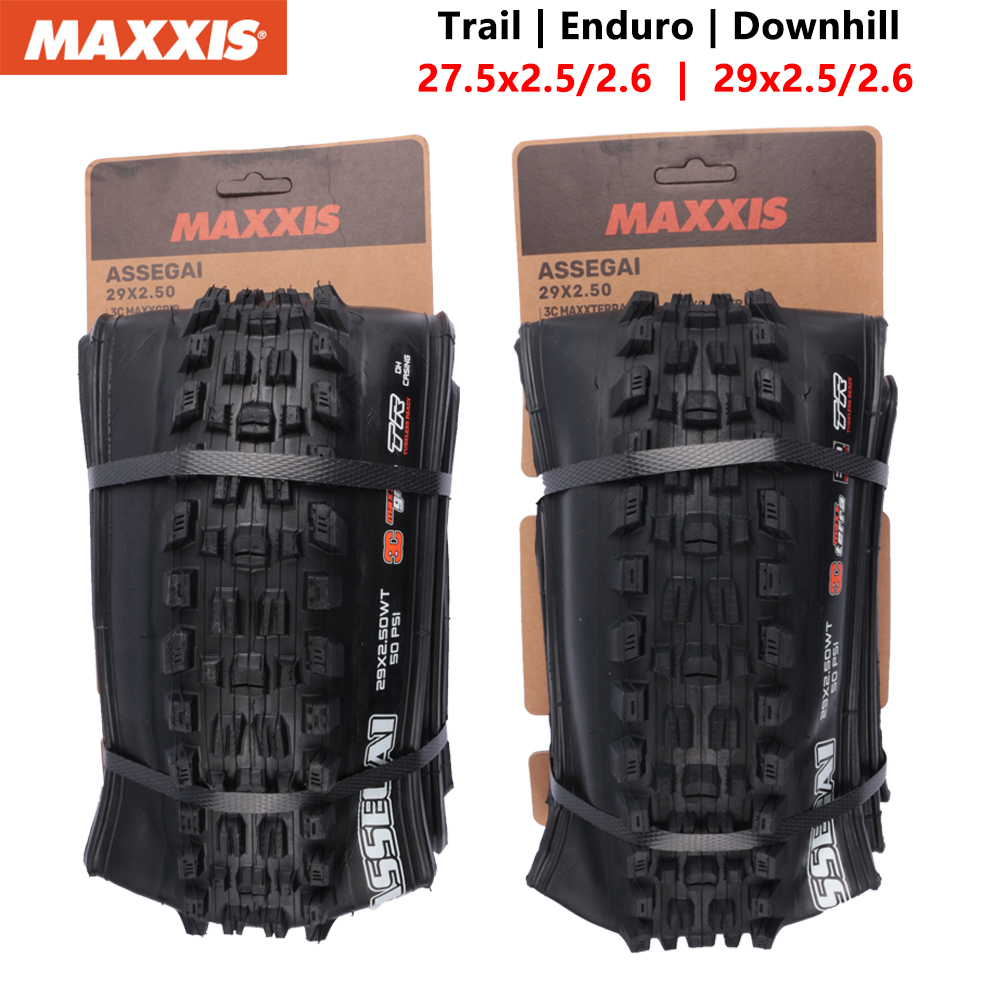 MAXXIS ASSEGAI Mountain Downhi - огляд і ціна Badminton Victory